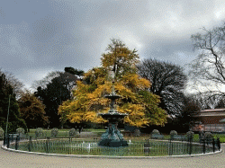 Christchurch Botanic Gardens   基督城植物園