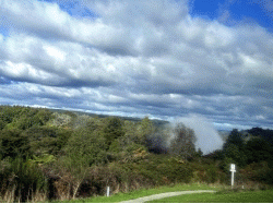 Enroute to Wellington from Rotorua 往威靈頓的沿途風景