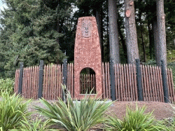 Rotorua Redwood Forest   羅托魯瓦  紅木森林octurnal Glow-worm tour  羅托魯瓦 黑夜森林尋找發光蟲之旅