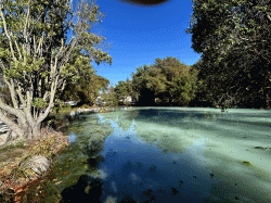 Rotorua Geo-thermal Sulphur Point   羅托魯瓦 地熱硫磺地角