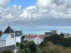 Wellington Cable Car Hill Top Botanic Garden 威靈頓纜車山頂植物園